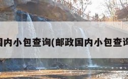 邮政国内小包查询(邮政国内小包查询入口)