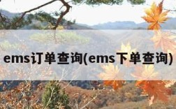 ems订单查询(ems下单查询)