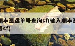 输入顺丰速运单号查询sf(输入顺丰速运快递单号sf)