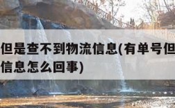 有单号但是查不到物流信息(有单号但是查不到物流信息怎么回事)