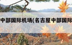 名古屋中部国际机场(名古屋中部国际机场最新)