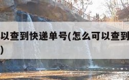 怎么可以查到快递单号(怎么可以查到快递单号信息)