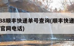 95338顺丰快递单号查询(顺丰快递单号查询官网电话)