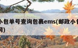 邮政小包单号查询包裹ems(邮政小包单号查询网)