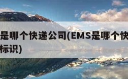 ems是哪个快递公司(EMS是哪个快递公司的标识)