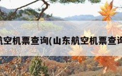 山东航空机票查询(山东航空机票查询官网)