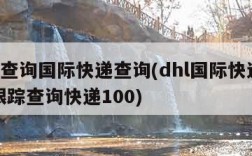 dhl查询国际快递查询(dhl国际快递查询跟踪查询快递100)