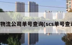 sc物流公司单号查询(scs单号查询)