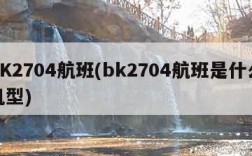 BK2704航班(bk2704航班是什么机型)