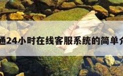 申通24小时在线客服系统的简单介绍