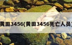 黄田3456(黄田3456死亡人员)