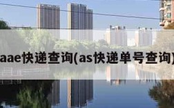 aae快递查询(as快递单号查询)