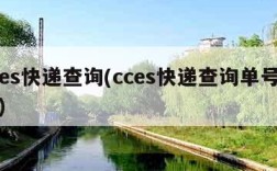 cces快递查询(cces快递查询单号查询)