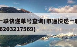 申通一联快递单号查询(申通快递一联单 773116203217569)