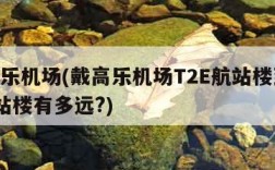 戴高乐机场(戴高乐机场T2E航站楼到T2F航站楼有多远?)